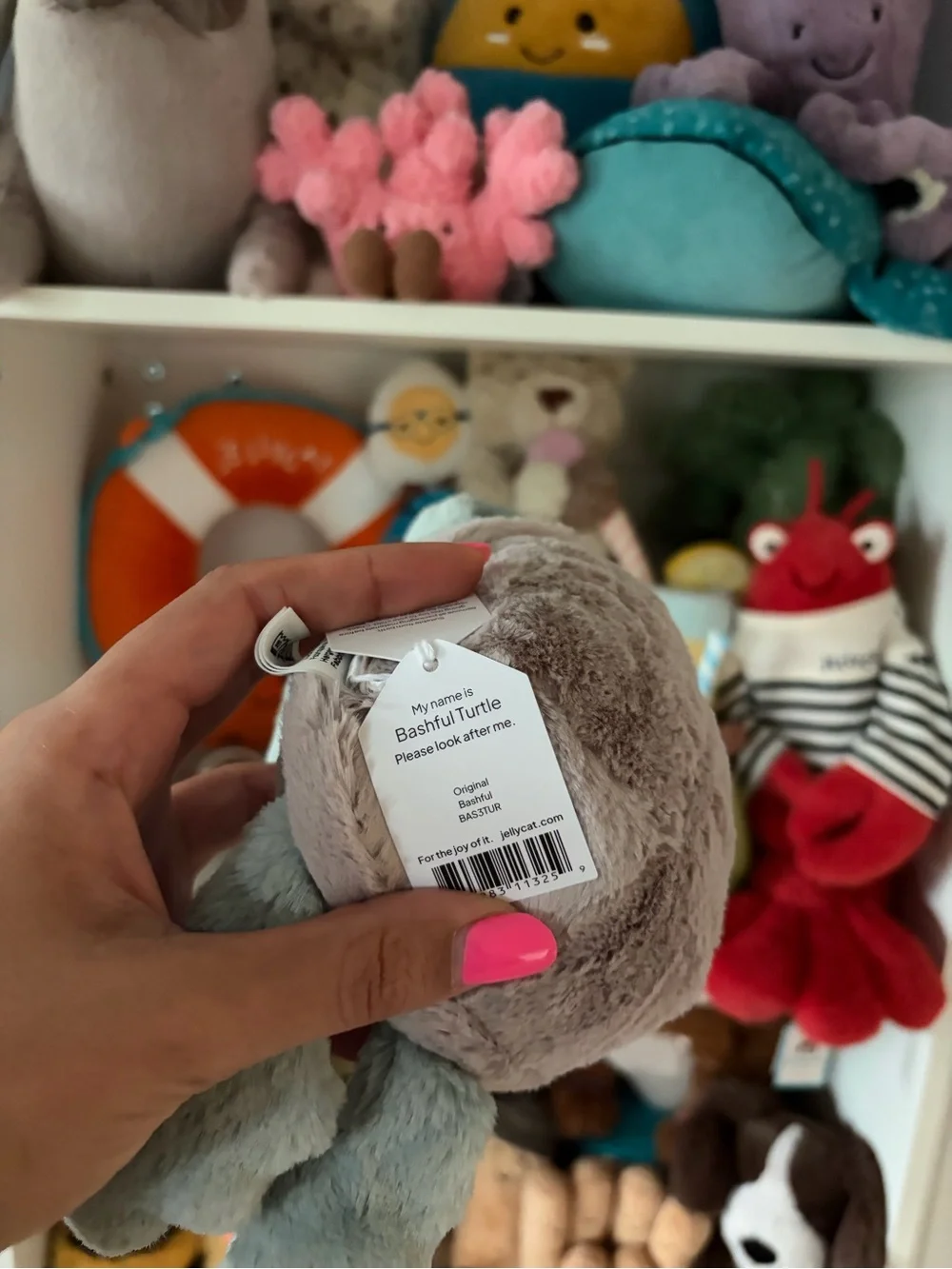 Jellycat Bashful Turtle - Authentic & BNWT